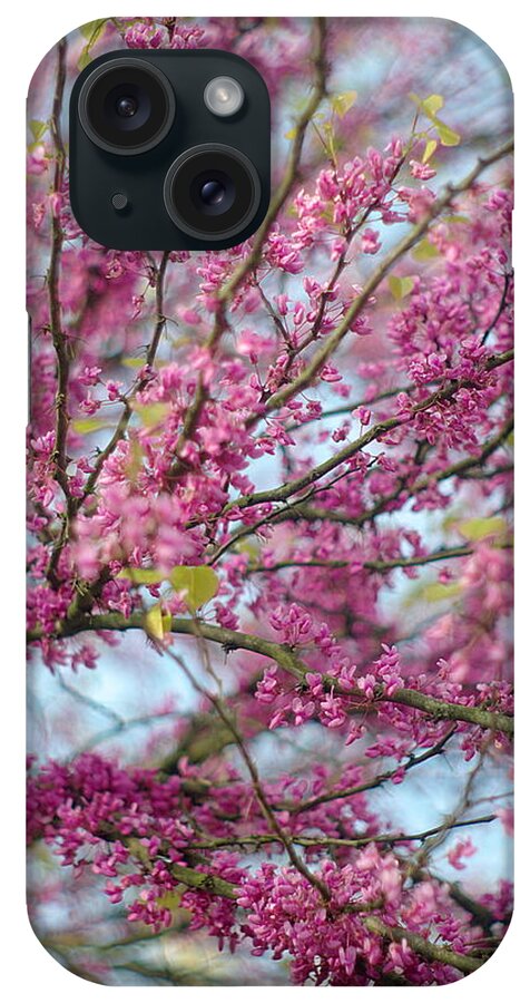 Plum Tree iPhone Case featuring the photograph Flowering Redbud Tree by Suzanne Powers
