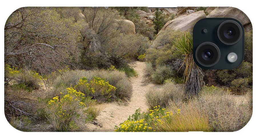 Ca iPhone Case featuring the photograph Flowers Along the Path by Lucinda Walter