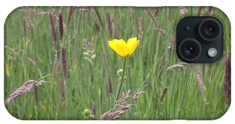 Buttercup iPhone Case featuring the photograph #flowers #buttercup #pretty by Ann Singer