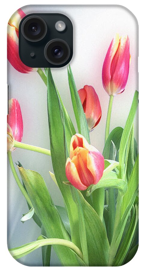 Red iPhone Case featuring the photograph Flowers by my Window by Edmund Nagele FRPS