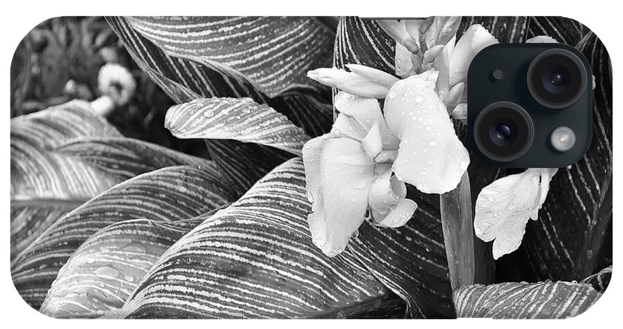 Monochrome iPhone Case featuring the photograph Flowers growing by a pond. by Digital Photographic Arts