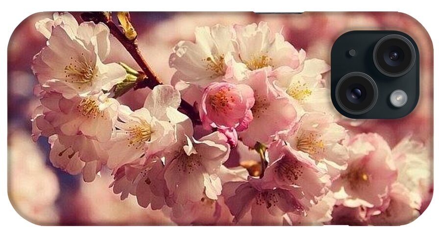  iPhone Case featuring the photograph Flowers by Luisa Azzolini