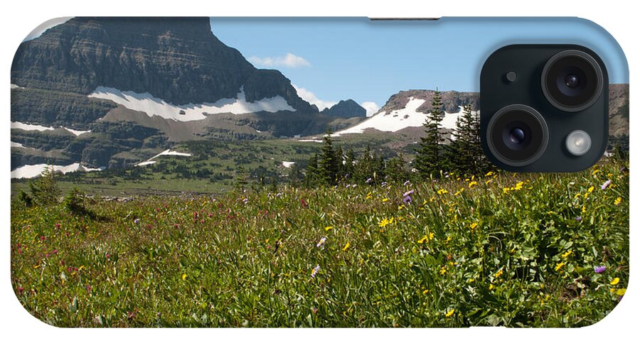 Wildflowers iPhone Case featuring the photograph Flowers on Logan Pass by Bruce Gourley
