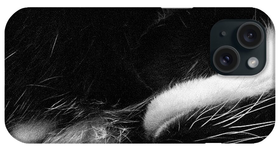 Cat iPhone Case featuring the photograph Fluffy Cat Chin by Nic Squirrell