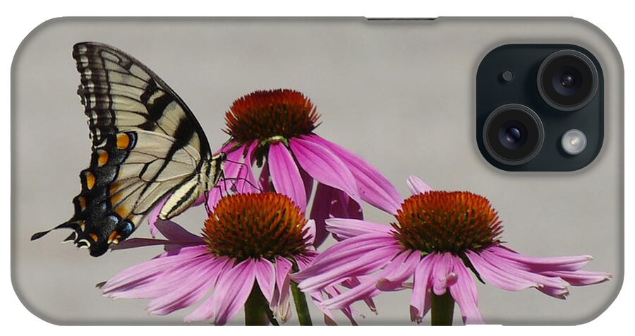 Butterfly iPhone Case featuring the photograph Flying flower by Karen McKenzie McAdoo
