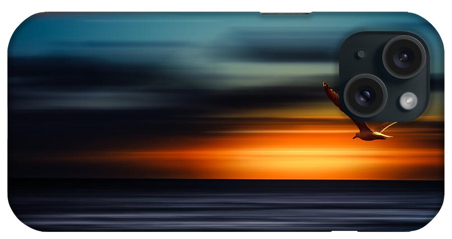 Sylt iPhone Case featuring the photograph Flying Into The Sunset by Hannes Cmarits