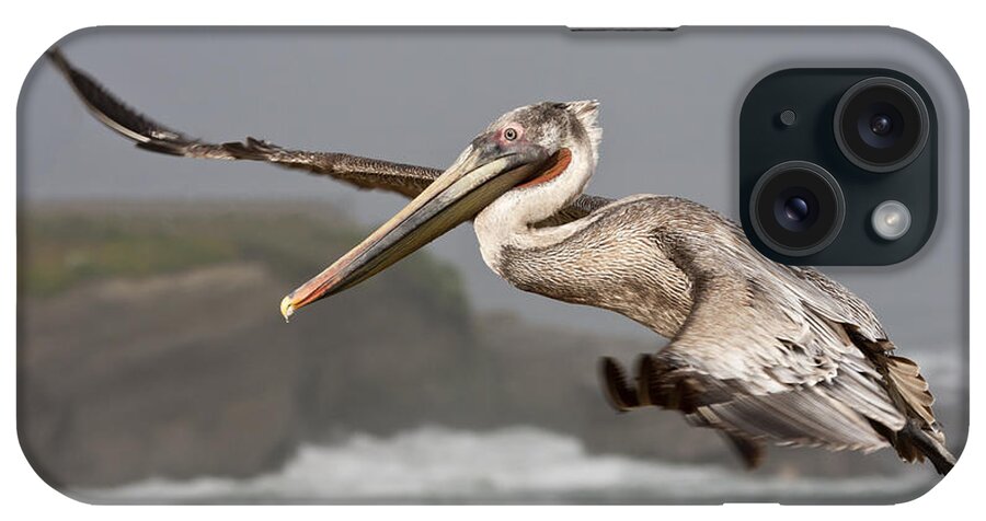 Brown Pelican iPhone Case featuring the photograph Flying over La Jolla by Bryan Keil