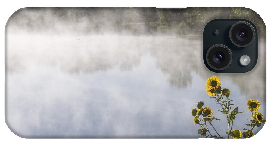 Kansas iPhone Case featuring the photograph Fog and Sunflowers by Rob Graham