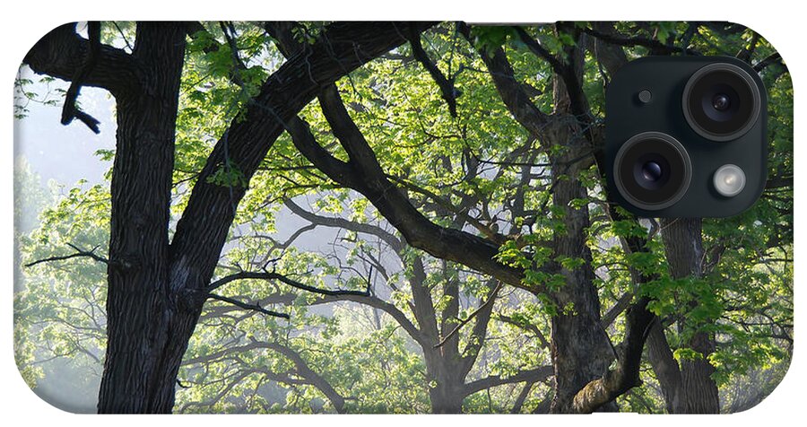 Tree iPhone Case featuring the photograph Fog Lifting on a Spring Morning in Minnesota by Cascade Colors