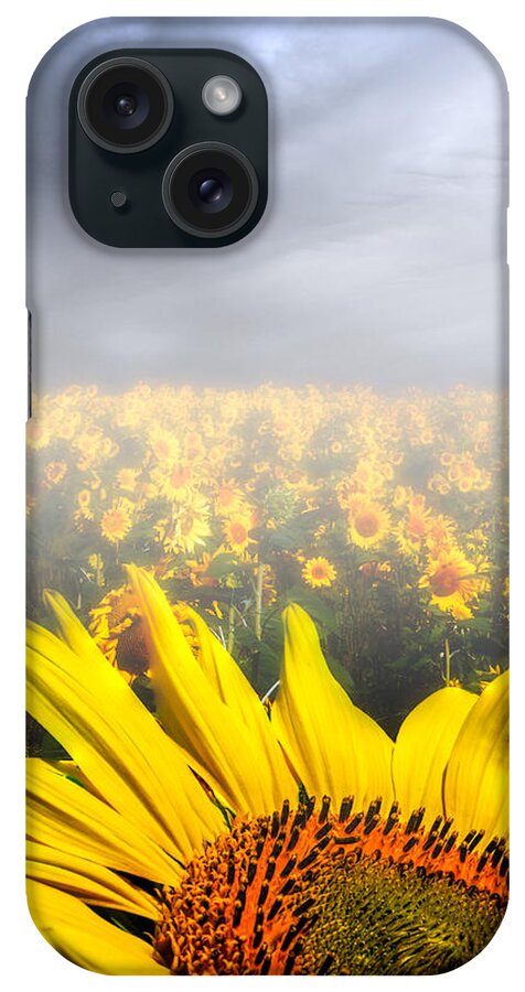Sunflower iPhone Case featuring the photograph Foggy Field of Sunflowers by Bob Orsillo