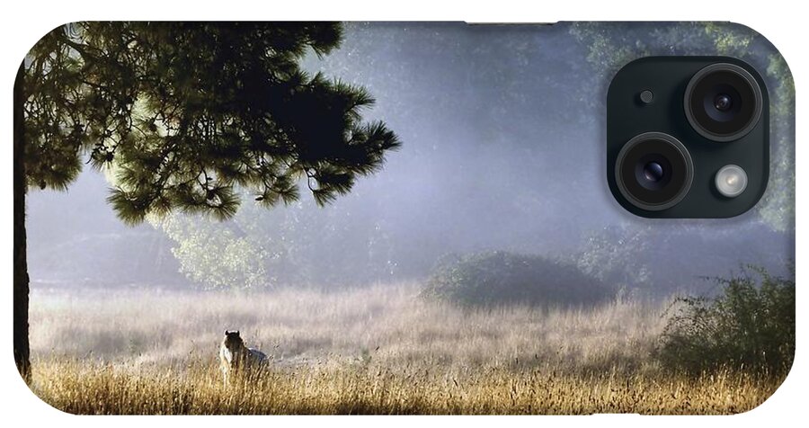Equine iPhone Case featuring the photograph Foggy Grotto by Julia Hassett