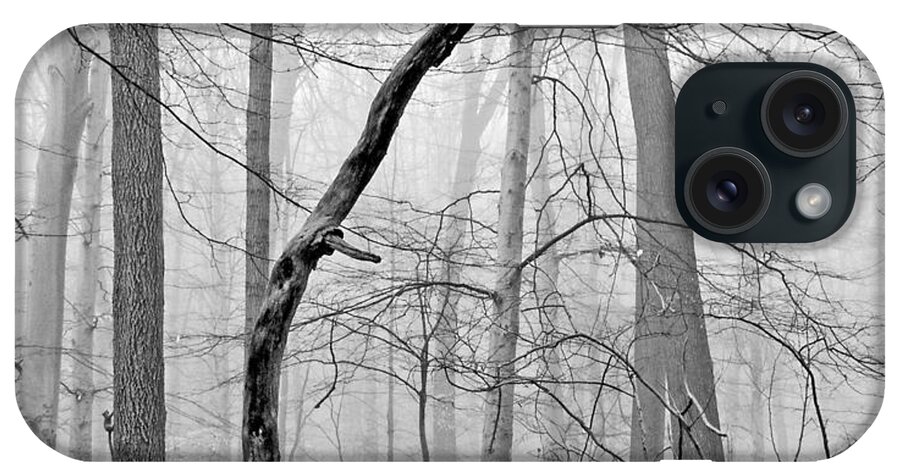 Nature iPhone Case featuring the photograph Foggy Morning Deciduous Forest by A Macarthur Gurmankin