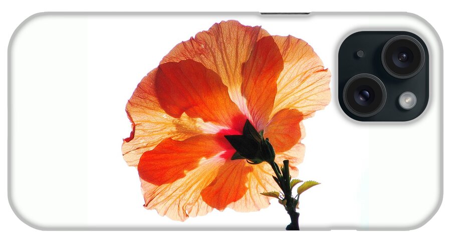 Hibiscus iPhone Case featuring the photograph Follow The Sun by Angela Davies