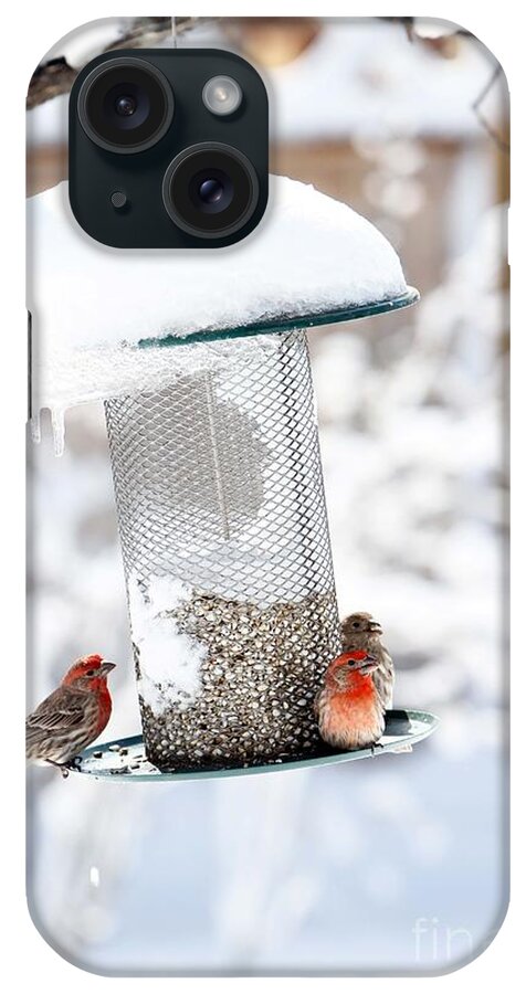 Birds iPhone Case featuring the photograph For The Birds by Betty Morgan