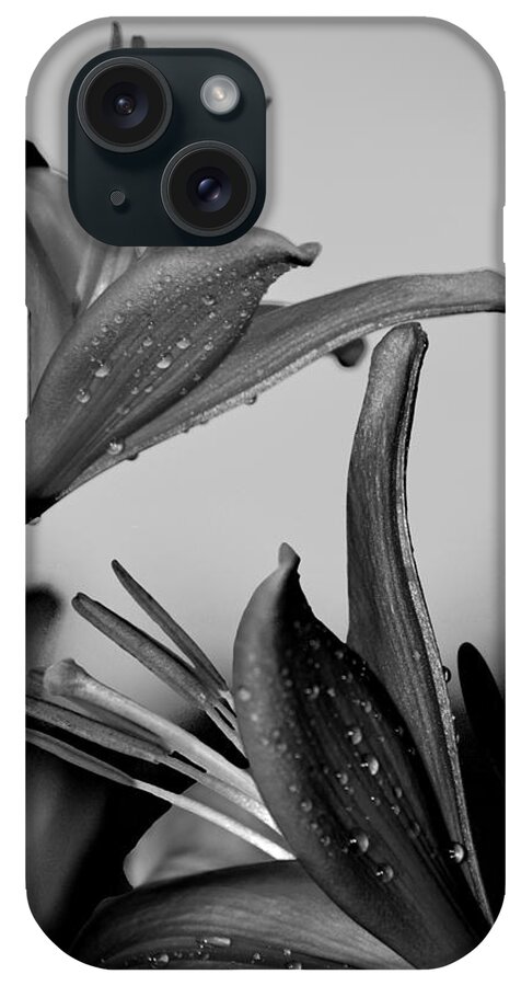 Lily iPhone Case featuring the photograph For The Love of Lillies BW by Lesa Fine