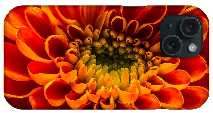 Flower iPhone Case featuring the photograph The Heart of a Mum by Ron Pate