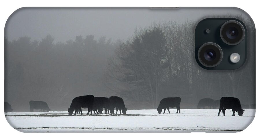 Nature iPhone Case featuring the photograph Foraging by Glenn Gordon