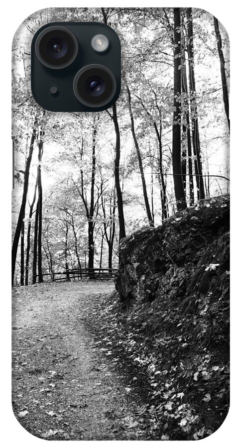 Wald Schwarz Weiß iPhone Case featuring the photograph Forest black and white 6 by Falko Follert