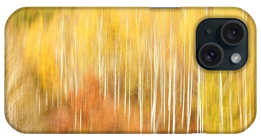 Tranquility iPhone Case featuring the photograph Forest Of Birch by Penboy
