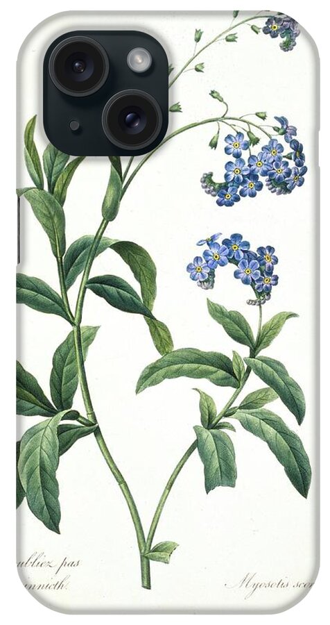 Illustration iPhone Case featuring the photograph Forget-me-not Myosotis Sylvatica by Natural History Museum, London/science Photo Library