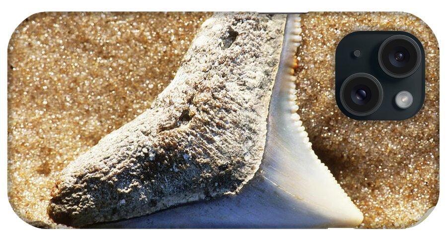 Fossil Shark Tooth iPhone Case featuring the photograph Fossil Shark Tooth by Millard H Sharp