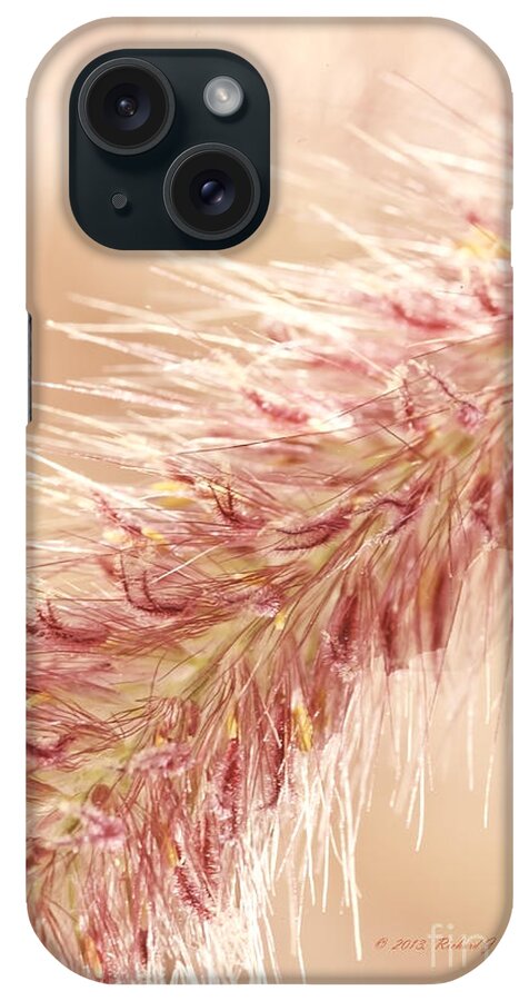 Close-up iPhone Case featuring the photograph Fountain Grass Blooms  #2 by Richard J Thompson 