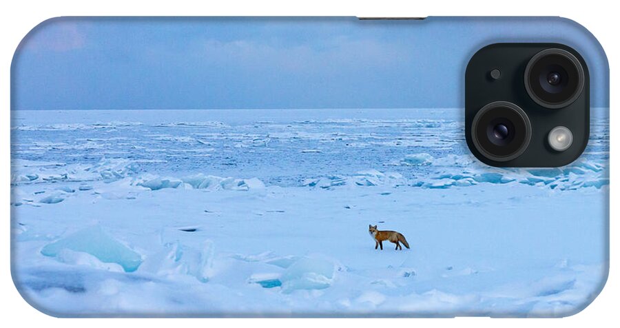 Red Fox iPhone Case featuring the photograph Fox of the North Country IV by Mary Amerman