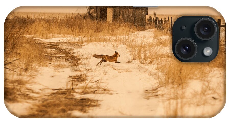 Fence iPhone Case featuring the photograph Fox on the Run by Shirley Heier