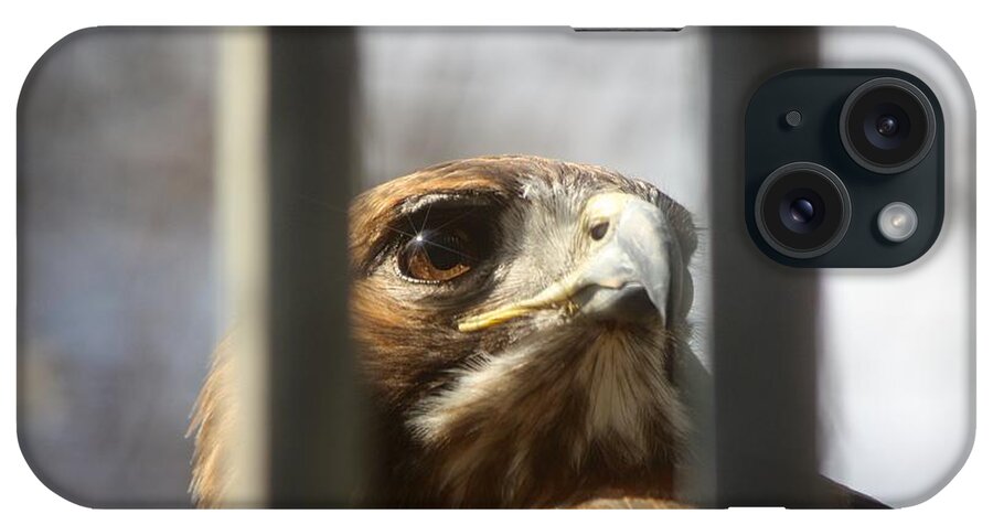 Red Tailed Hawk iPhone Case featuring the photograph Freedom Isn't Free by Nunweiler Photography