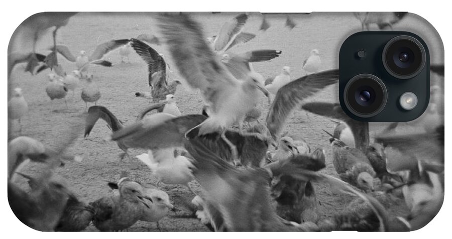 Birds iPhone Case featuring the photograph Frenzy by Paul Anderson