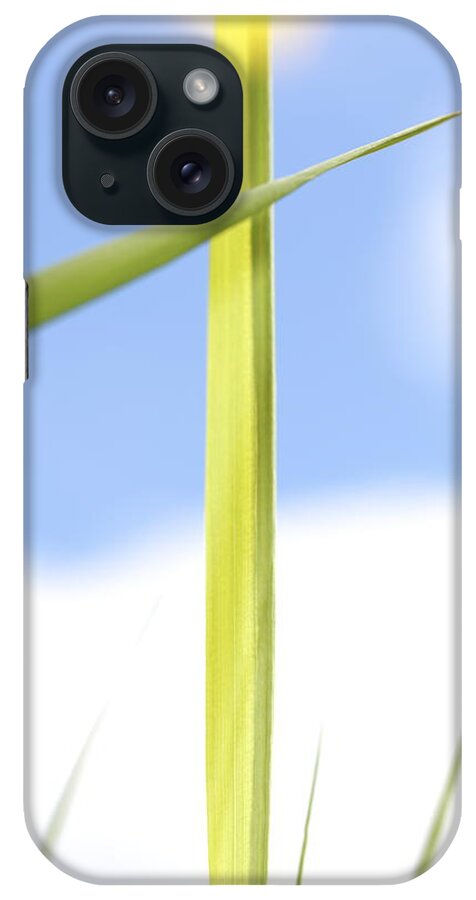 Abstract iPhone Case featuring the photograph Fresh green grass by Ulrich Kunst And Bettina Scheidulin