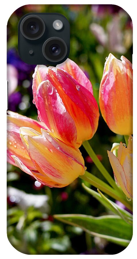 Tulips iPhone Case featuring the photograph Fresh Tulips by Rona Black