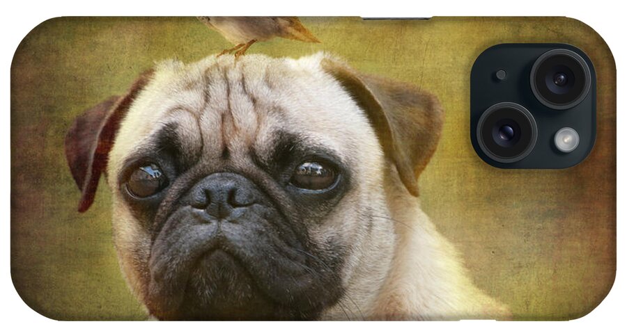 Portrait iPhone Case featuring the photograph Friends like pug and bird by Barbara Orenya