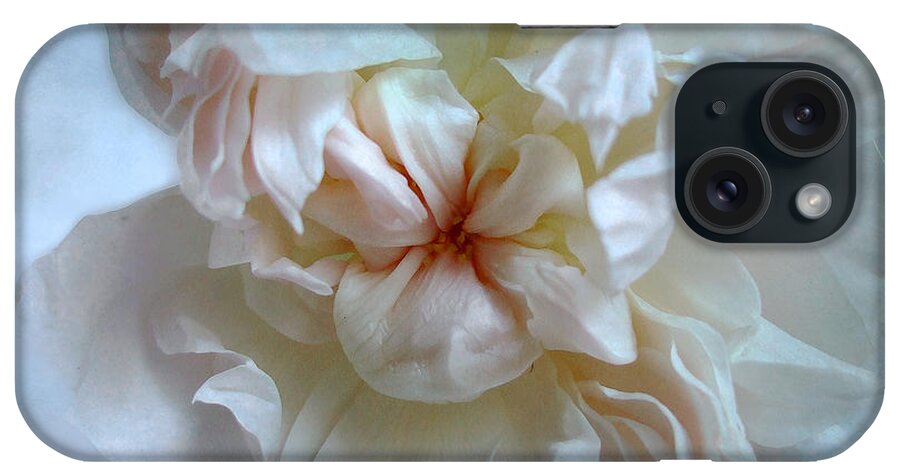 Rose iPhone Case featuring the photograph Friendship is the Breathing Rose by Louise Kumpf