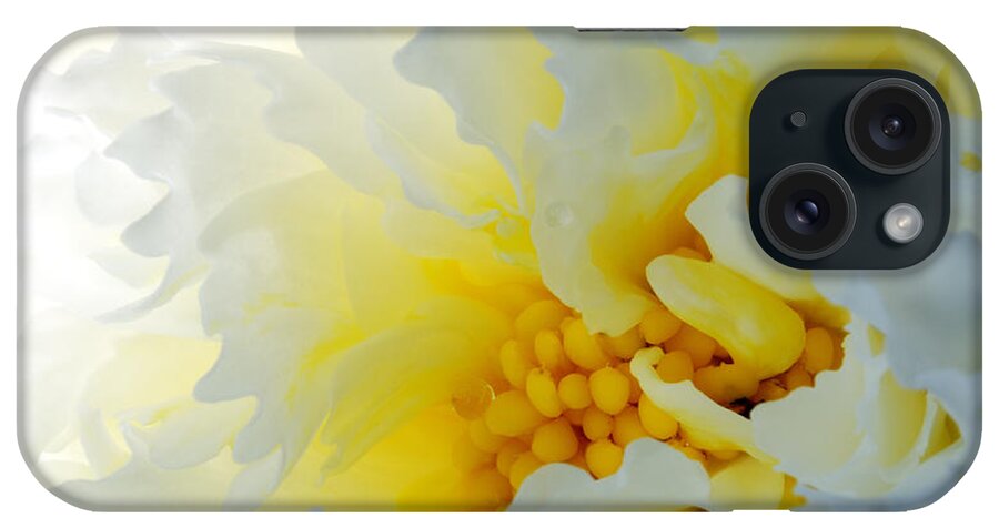 Frilling iPhone Case featuring the photograph Frilling by Wendy Wilton