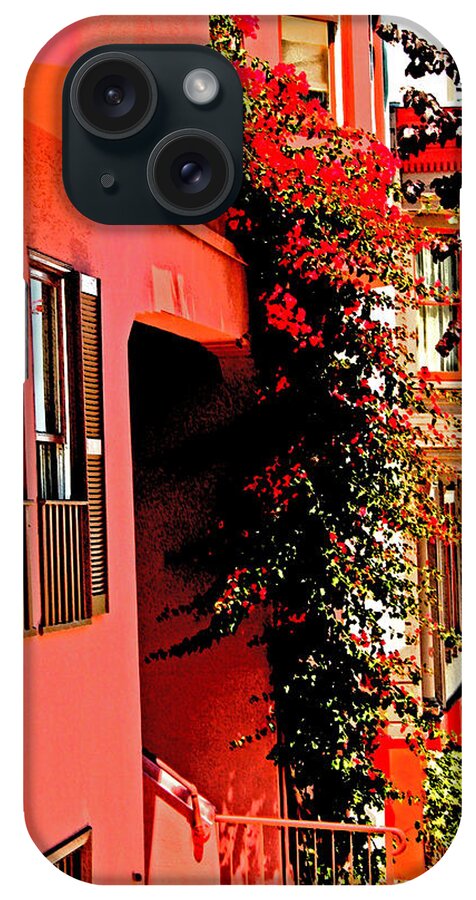 Telegraph Hill iPhone Case featuring the photograph Frisco Street Flowers by Joseph Coulombe