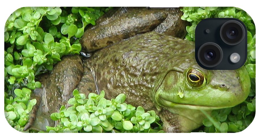 Frog iPhone Case featuring the photograph Frog by DejaVu Designs