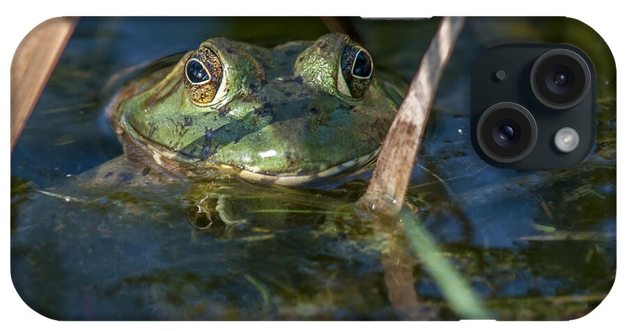 Amphibian iPhone Case featuring the photograph Frog Eyes by Cathy Kovarik