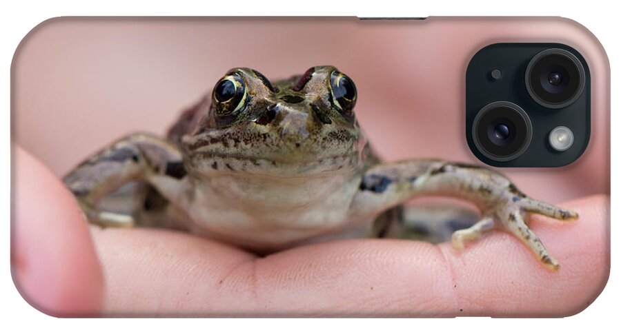 Animals iPhone Case featuring the photograph Frog by Jakub Sisak