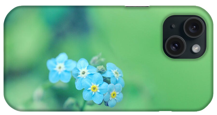 Forget-me-not iPhone Case featuring the photograph Froggy by Yuka Kato