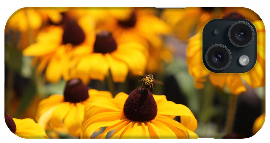 Flower iPhone Case featuring the photograph From Flower To Flower by Lily K