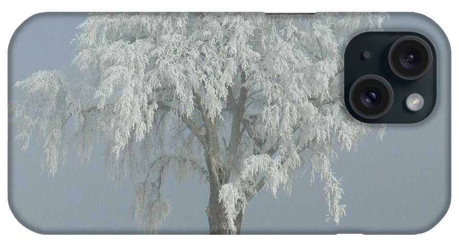 Landscape iPhone Case featuring the photograph Frost Covered Lone Tree by Penny Meyers