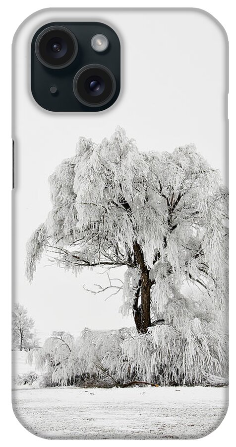 Hoar iPhone Case featuring the photograph Frosted by Mary Jo Allen