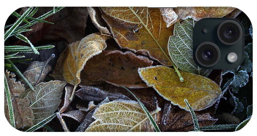 Leaf iPhone Case featuring the photograph Frosty Autumn Leaves by Ellen Tully