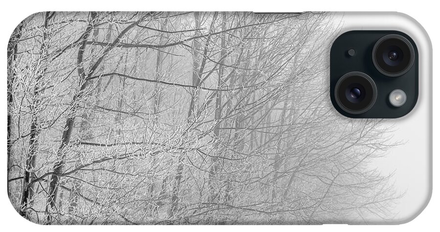 Landscape iPhone Case featuring the photograph Frosty Forest Frontier by Chris Bordeleau