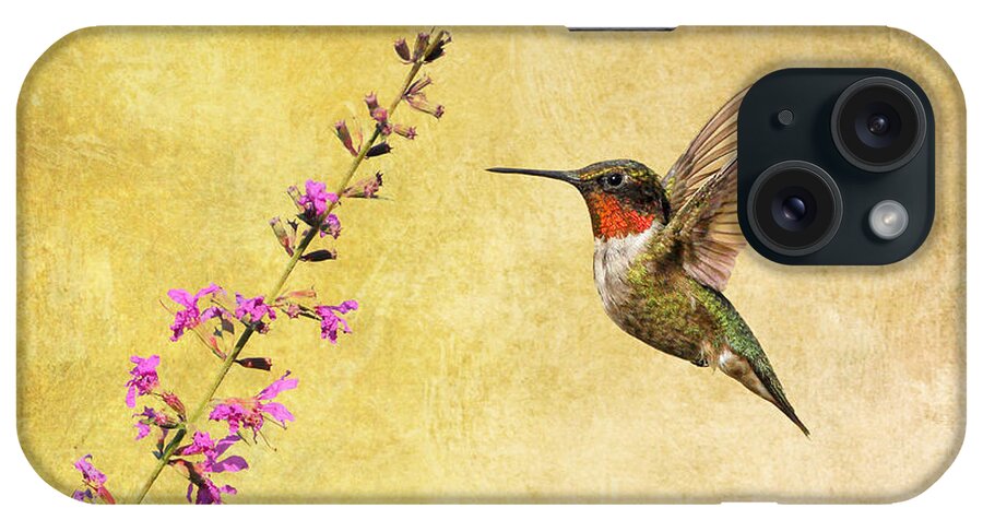 Ruby Throat Hummingbird iPhone Case featuring the photograph Frozen in Time by Daniel Behm