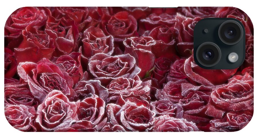 ©connie Cooper-edwards iPhone Case featuring the photograph Frozen Tipped Red Roses by Connie Cooper-Edwards