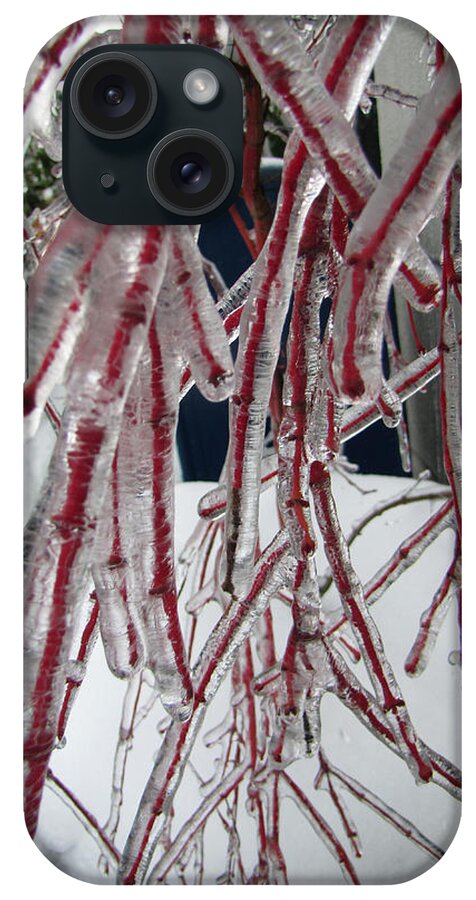 Icestorm iPhone Case featuring the photograph Frozen Veins by Tikvah's Hope