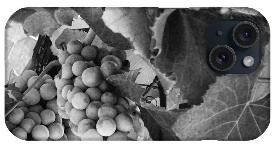 Litchfield Illinois iPhone Case featuring the photograph Fruit -Grapes in Black and White - Luther Fine Art by Luther Fine Art