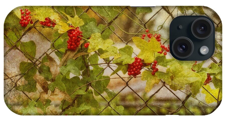 Red iPhone Case featuring the photograph Fruit of the Vine by Joan Bertucci